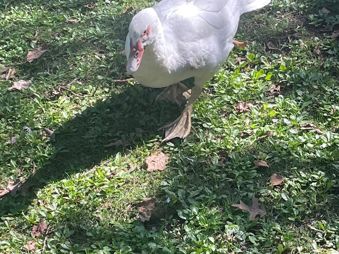 Malmsbury Botanic Gardens-Malmsbury必去景点