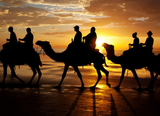 Darwin Camel Rides-达尔文市必去景点