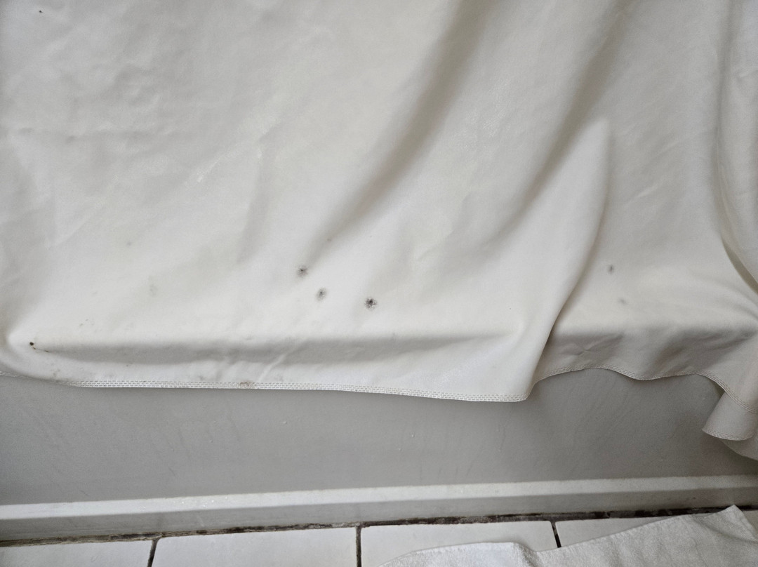 Super 8 by Wyndham Warrenton主图