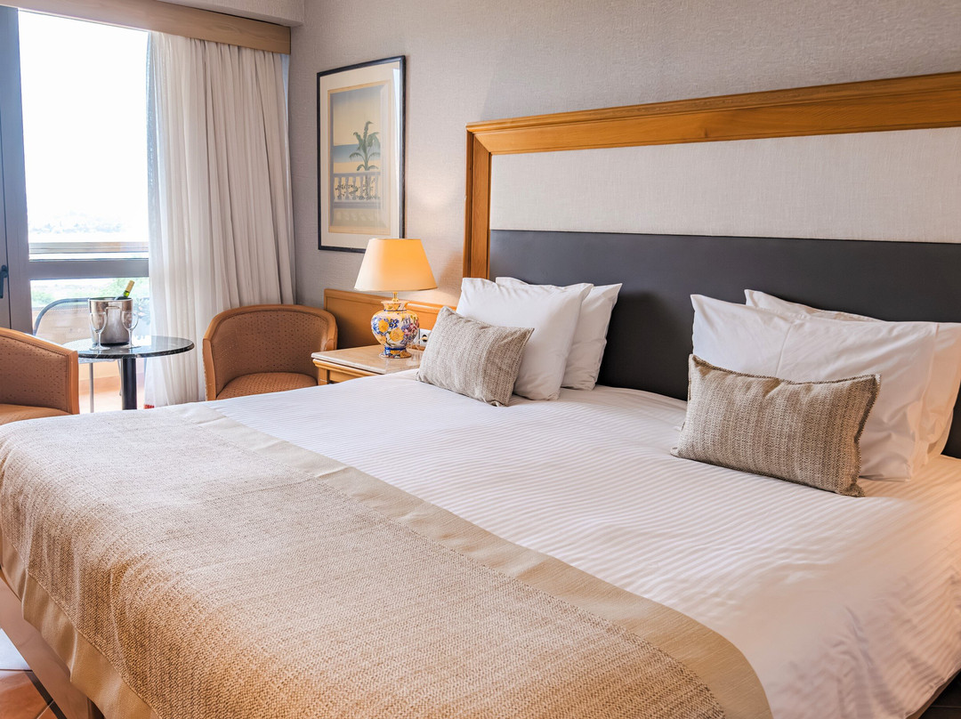 Divani Corfu Palace主图