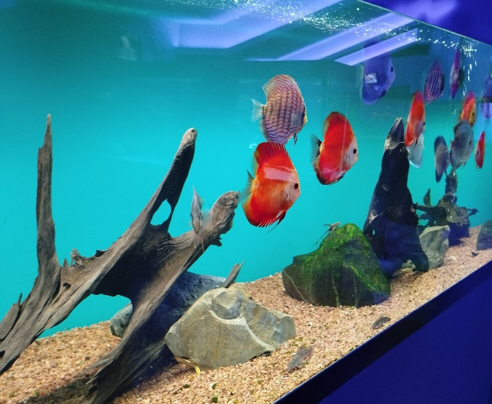 Kharkov Dolphinarium-哈尔科夫必去景点