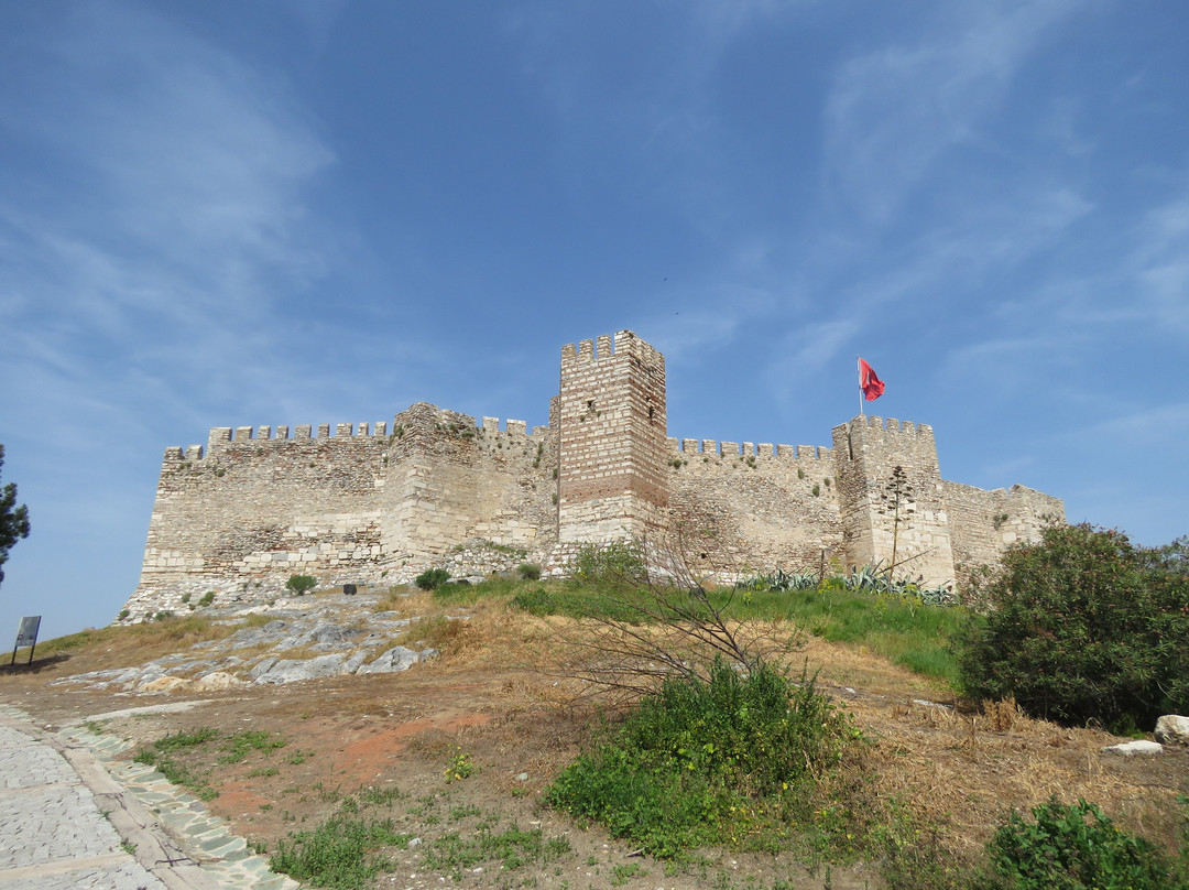 Ayasoluk Castle景点图片
