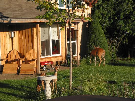 Dominion Mountain Retreat主图