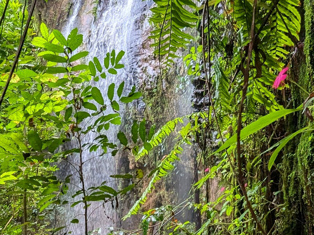 Mwaluganje Elephant Sanctuary