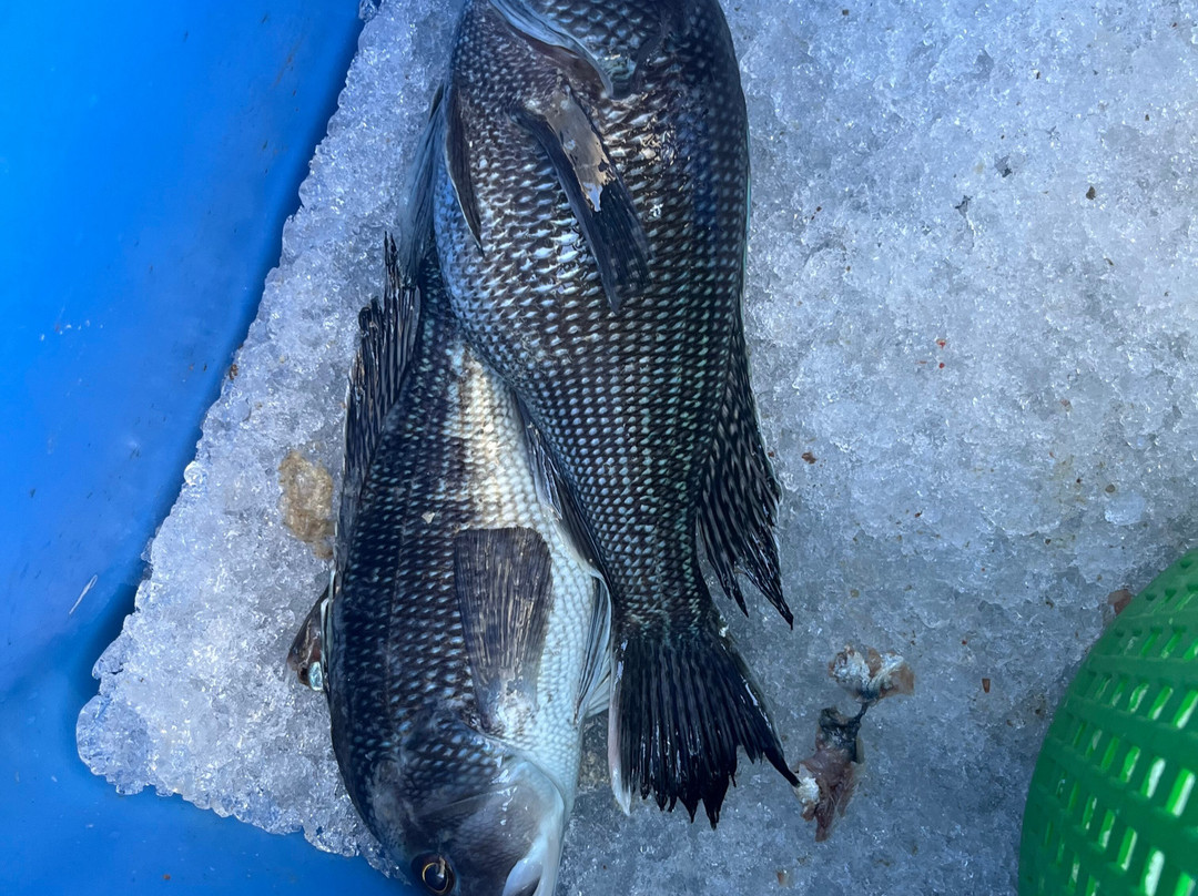 Hurricane Fishing Fleet景点图片