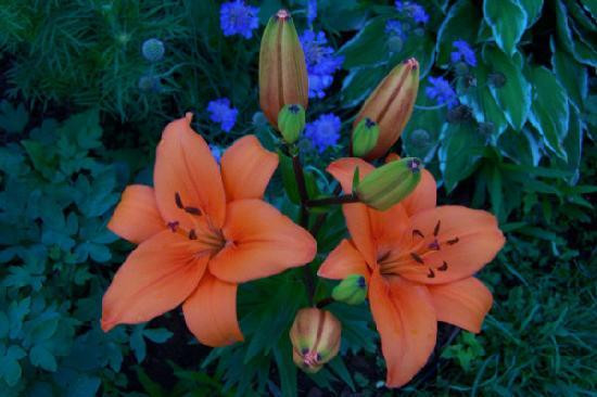 Beside The Trail Bed and Breakfast主图