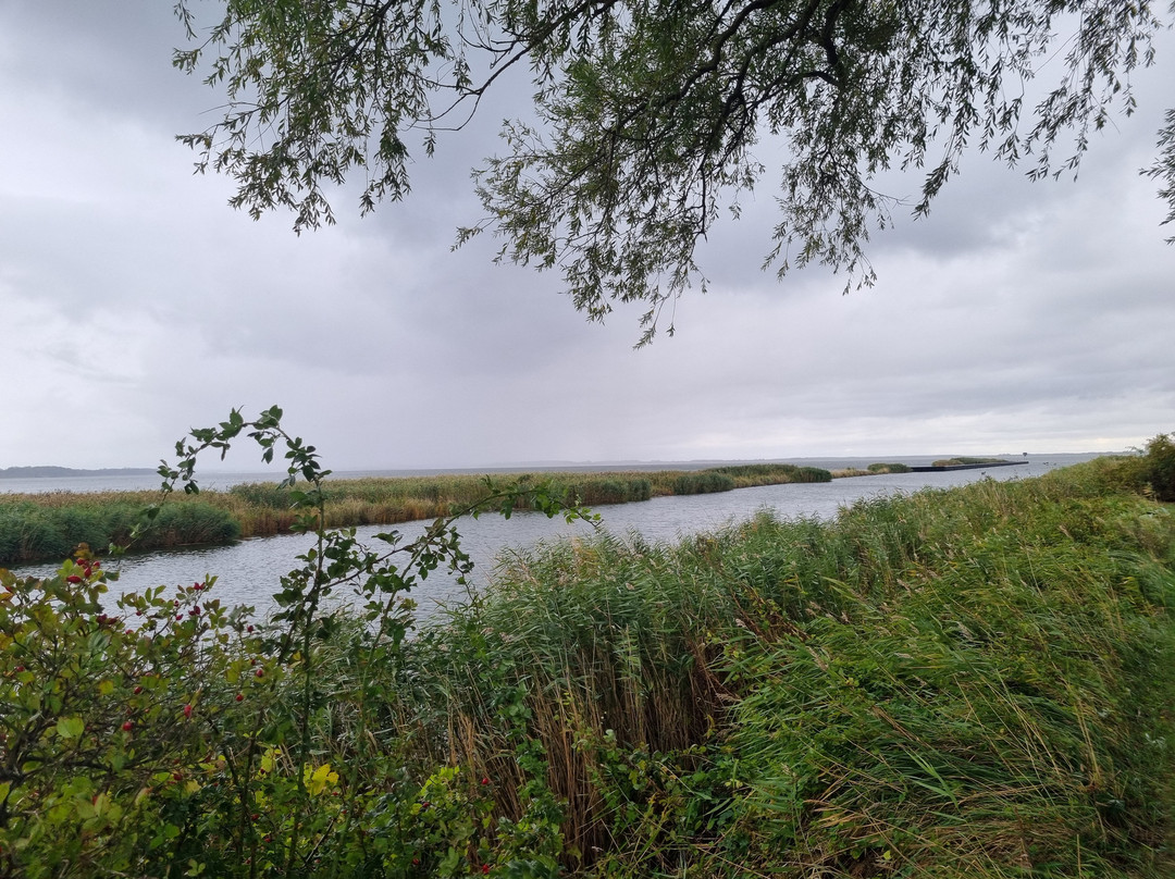 Naturcamping Hafen Stagniess
