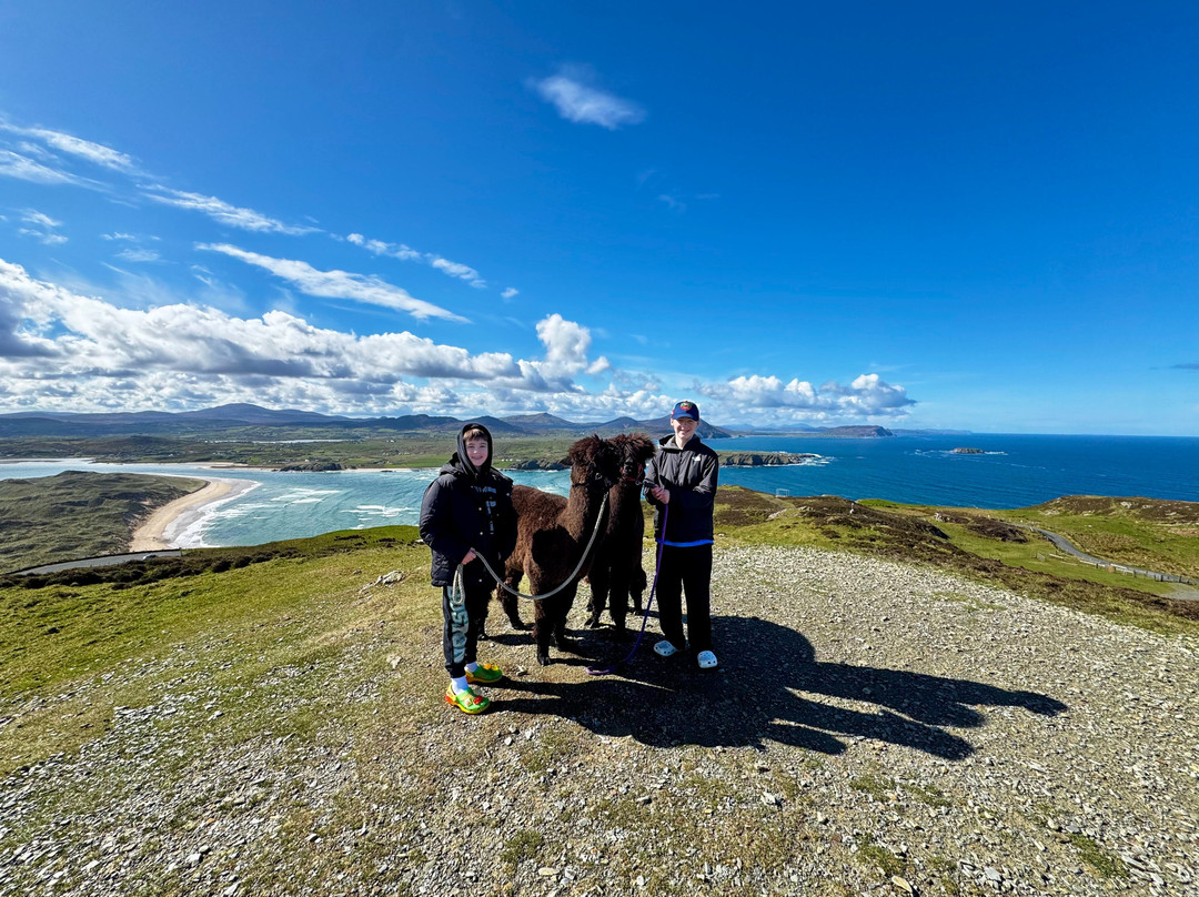 Wild Alpaca Way-Malin Head必去景点