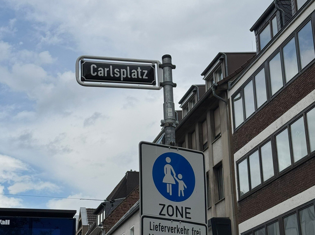 Carlsplatz Markt-杜塞尔多夫必去景点
