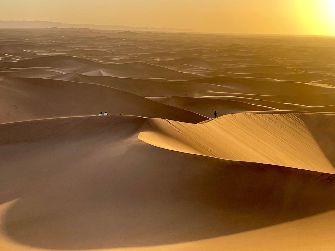 Wild Morocco-扎古拉必去景点