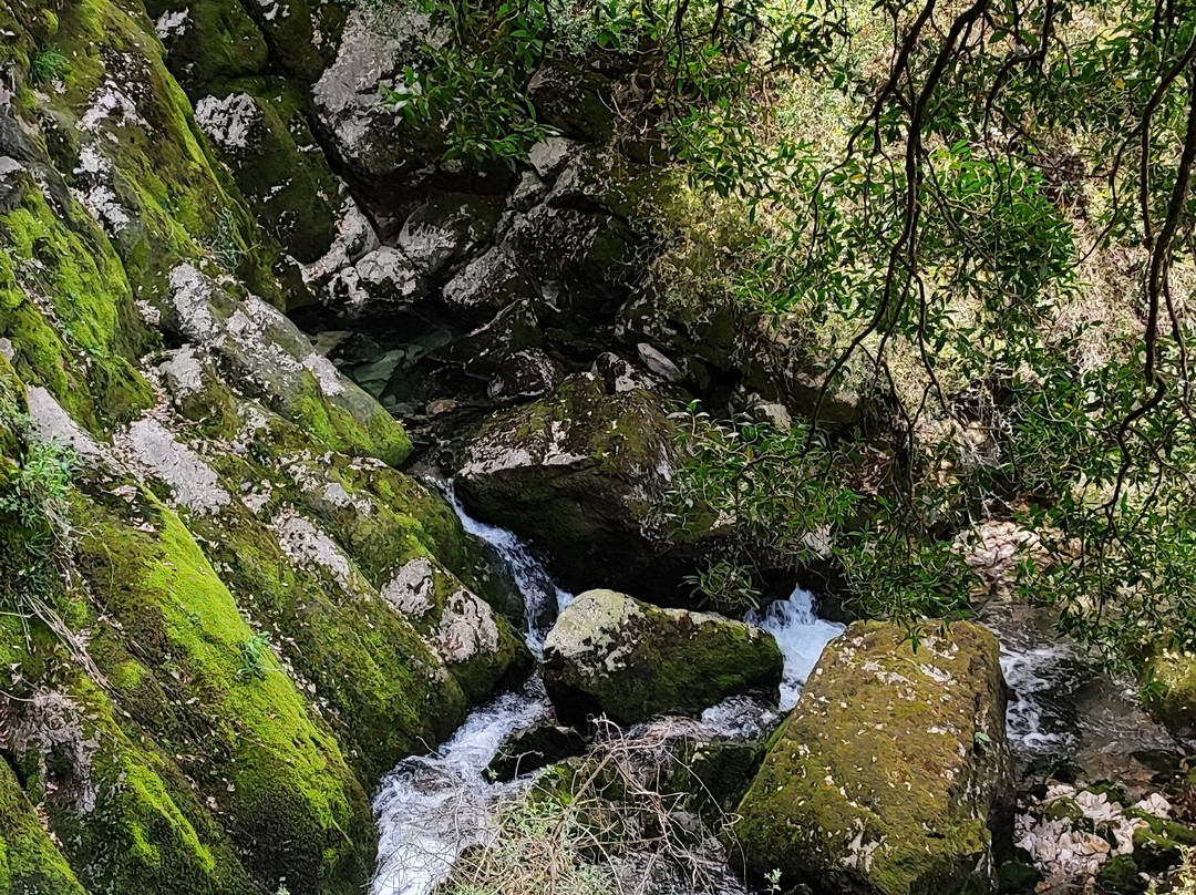 Nacimiento del Rio Cadagua-Cadagua必去景点