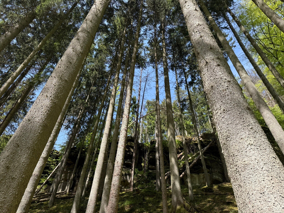 Mullerthal Trail-Mullerthal必去景点