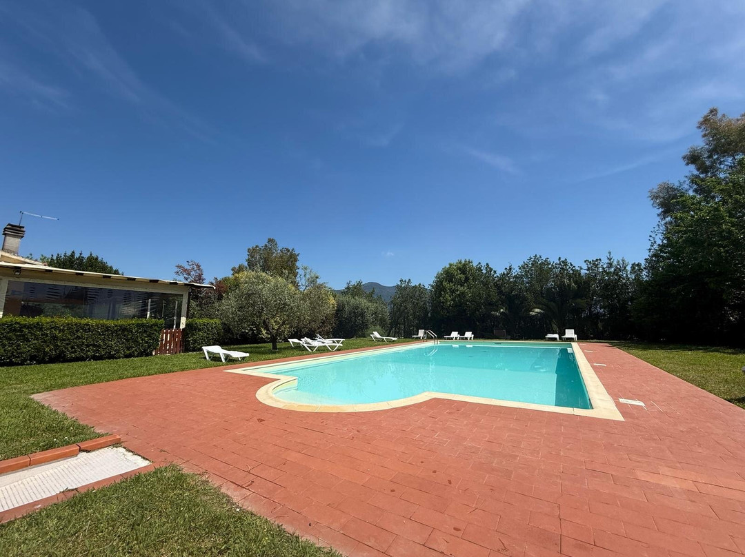 Airone Pisa Park Hotel主图