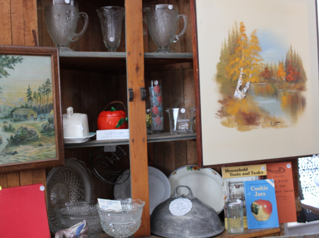 Patricia's Gift Shop景点图片
