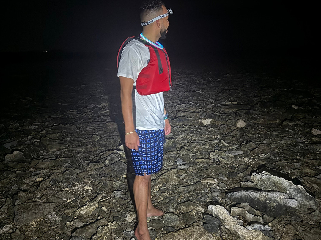 Virgin Island EcoTours - St. Thomas Tours-圣 托马斯必去景点