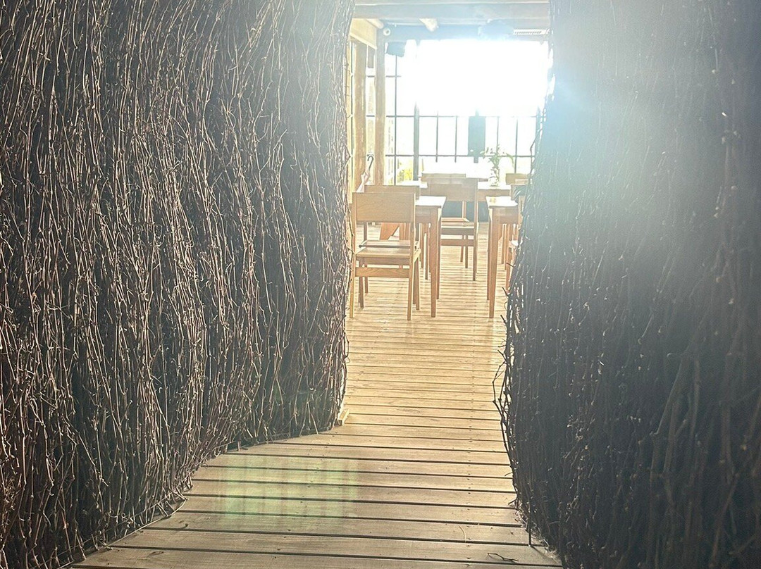 Jose Ignacio Bodega Oceanica-Jose Ignacio必去景点