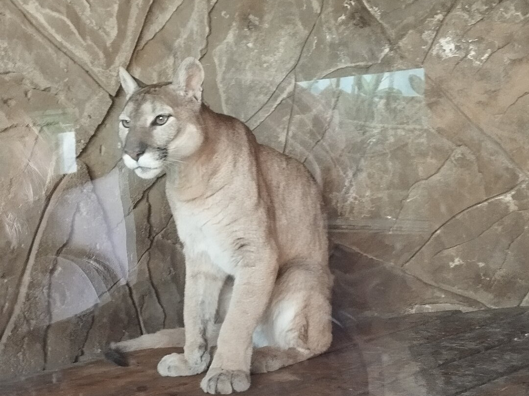 Eco Park Biosphere-卡卢加必去景点