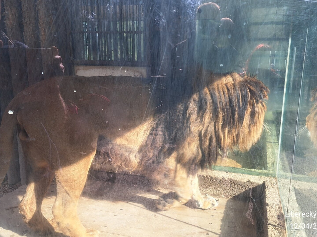 Zoo Liberec-利贝雷茨必去景点