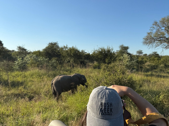 Bush Geek Safaris-比勒陀利亚必去景点