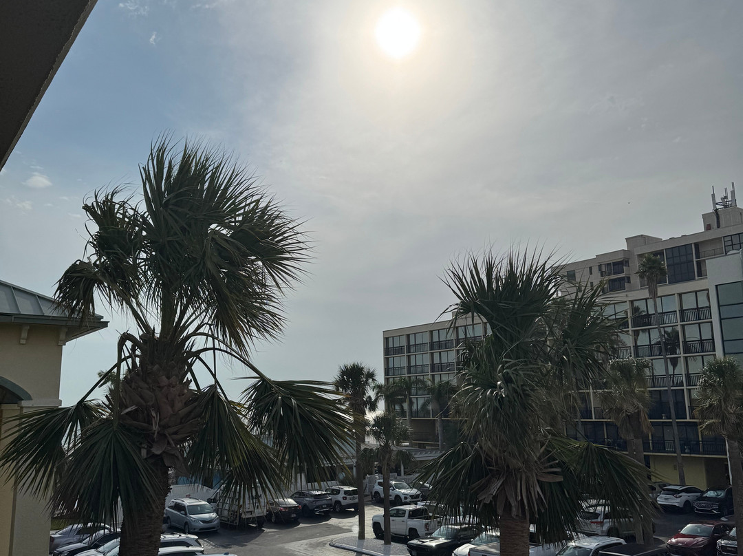 Sirata Beach Resort St Pete Beach主图