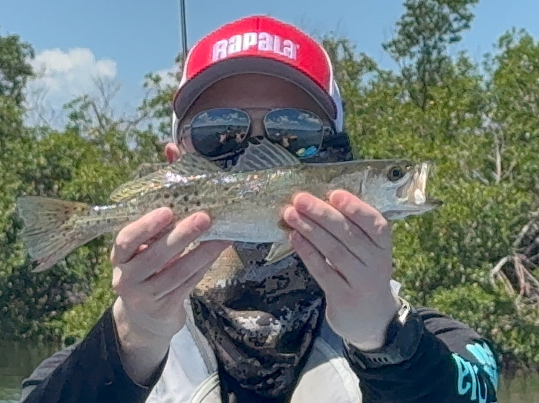 Gulf Coast Kayak-开普科勒尔必去景点