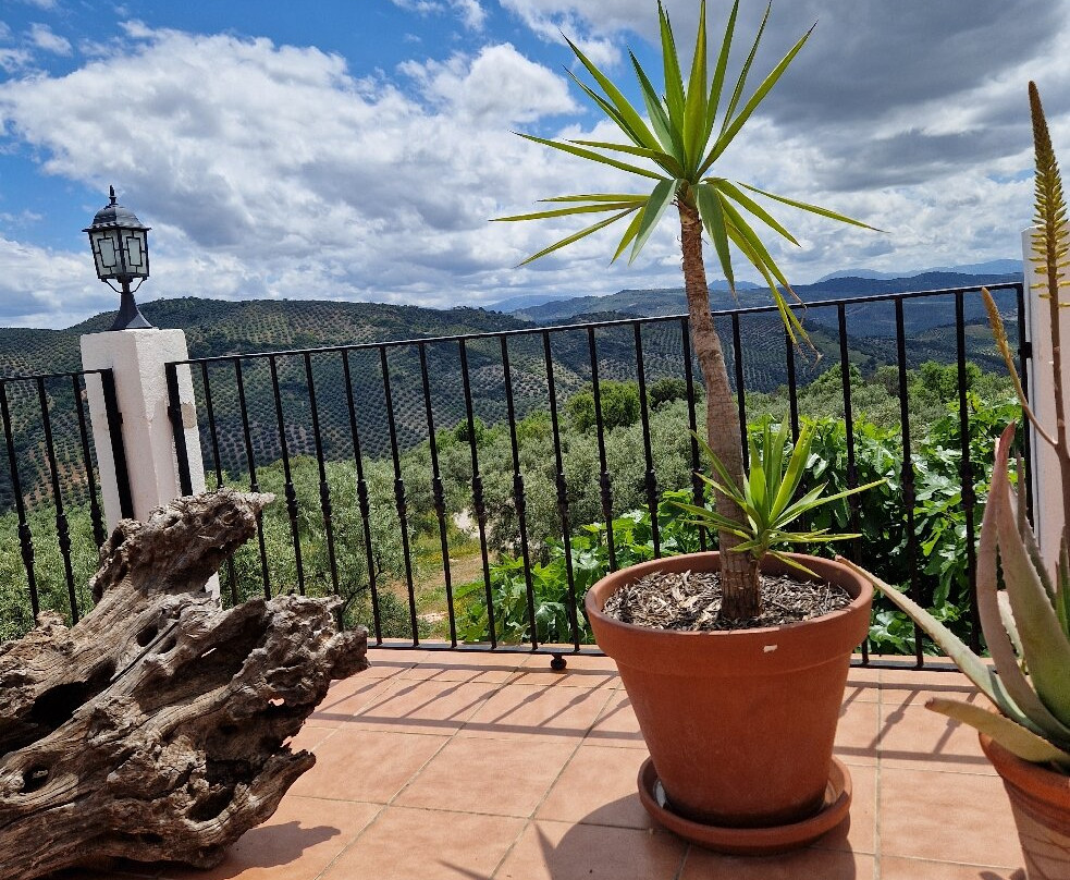 Hilltop Hideaway (Brazos Abiertos Casa Rural)主图