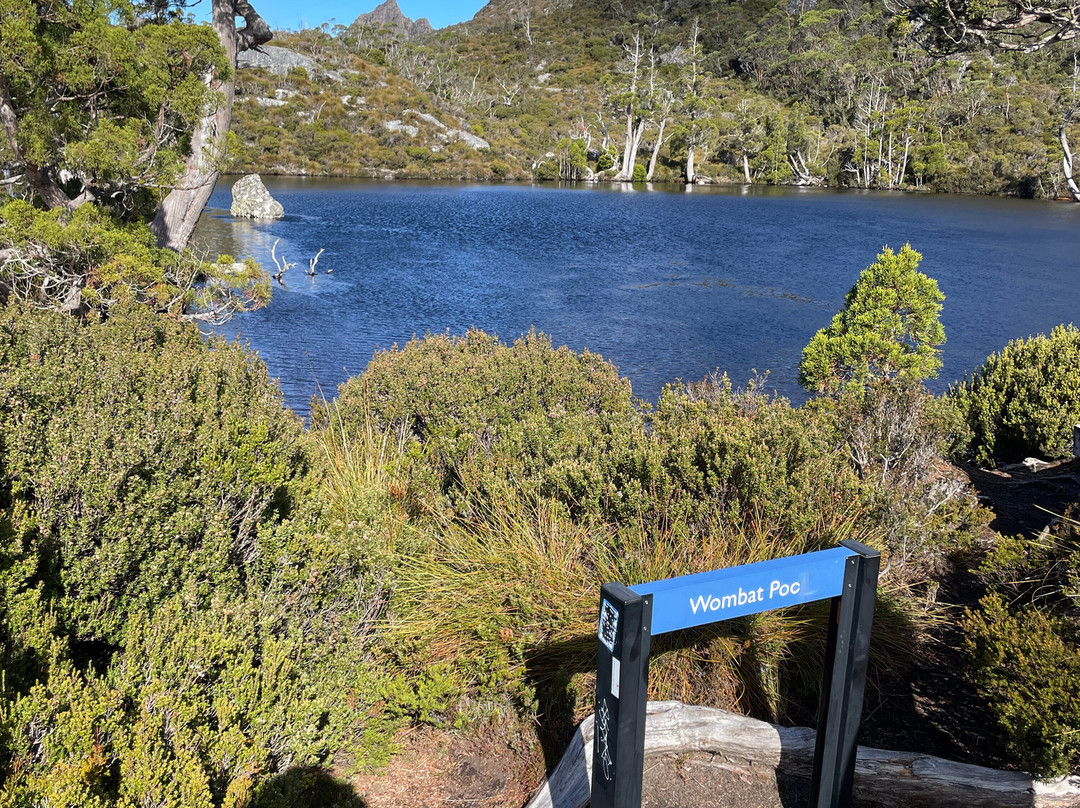 Lake Lilla Track景点图片