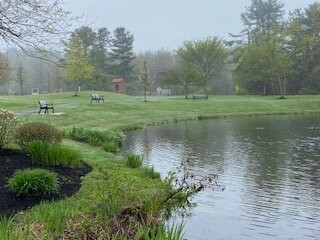 Memorial Park景点图片
