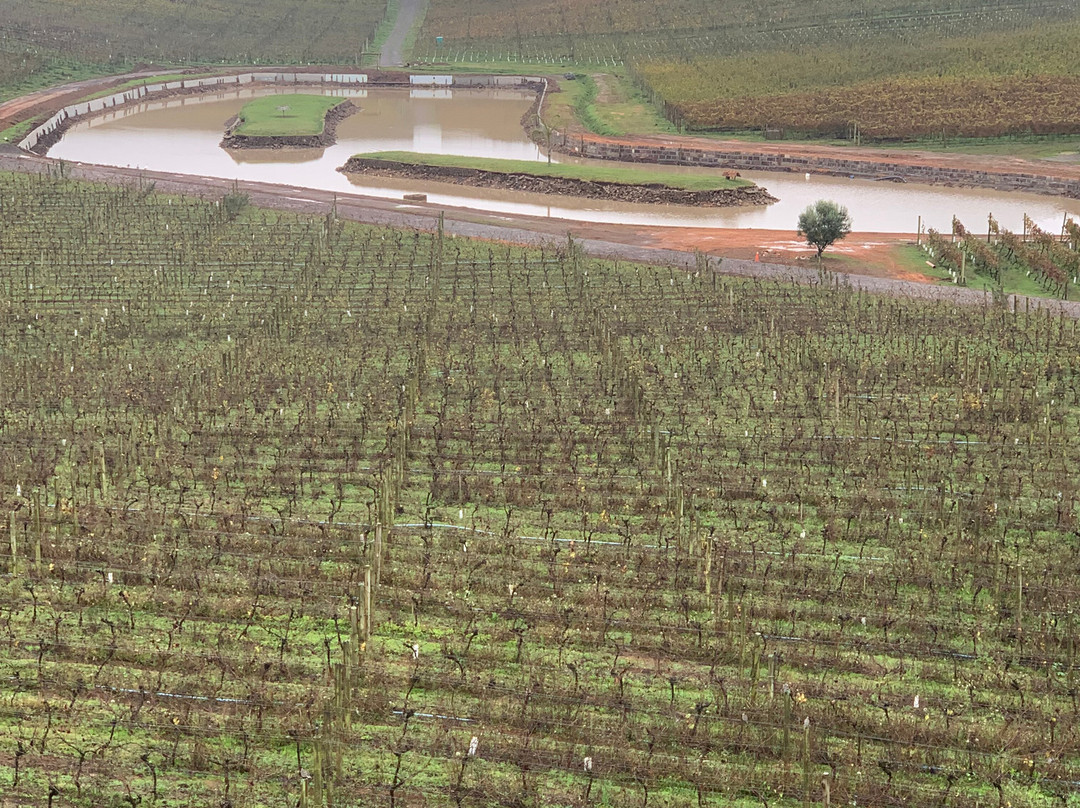 Vinicola Luiz Argenta-Flores Da Cunha必去景点