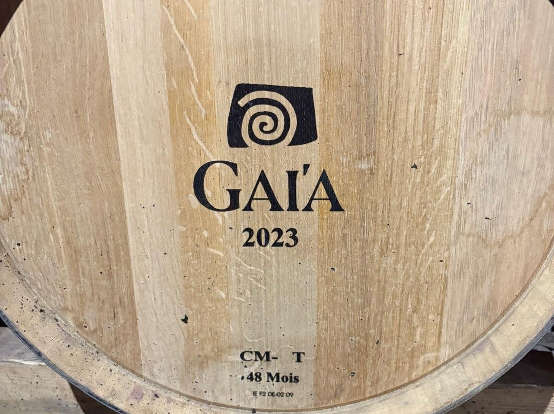 Gaia Winery-Koutsi必去景点