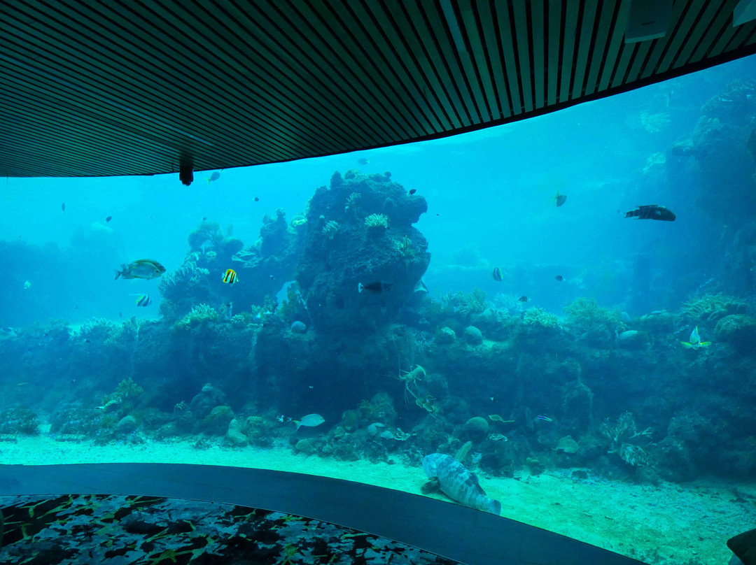 日梦岛温泉度假酒店主图