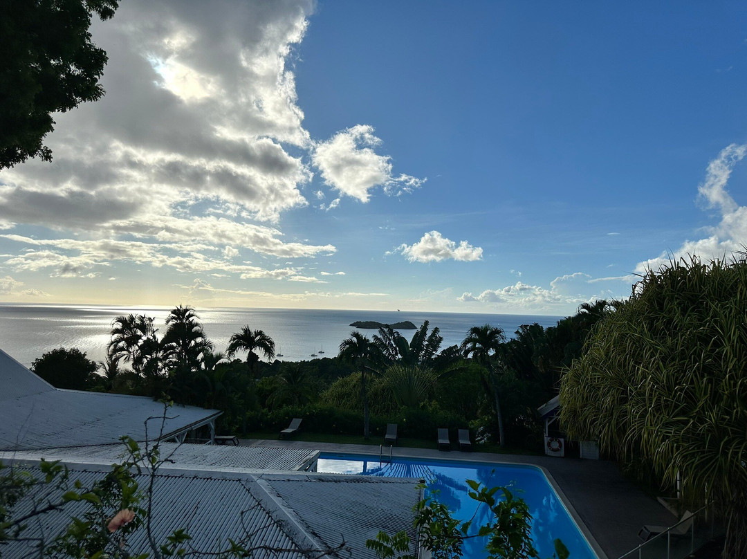 Le Jardin Tropical主图