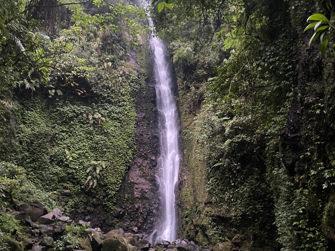 Bogor Halimun National Park Tour-茂物必去景点