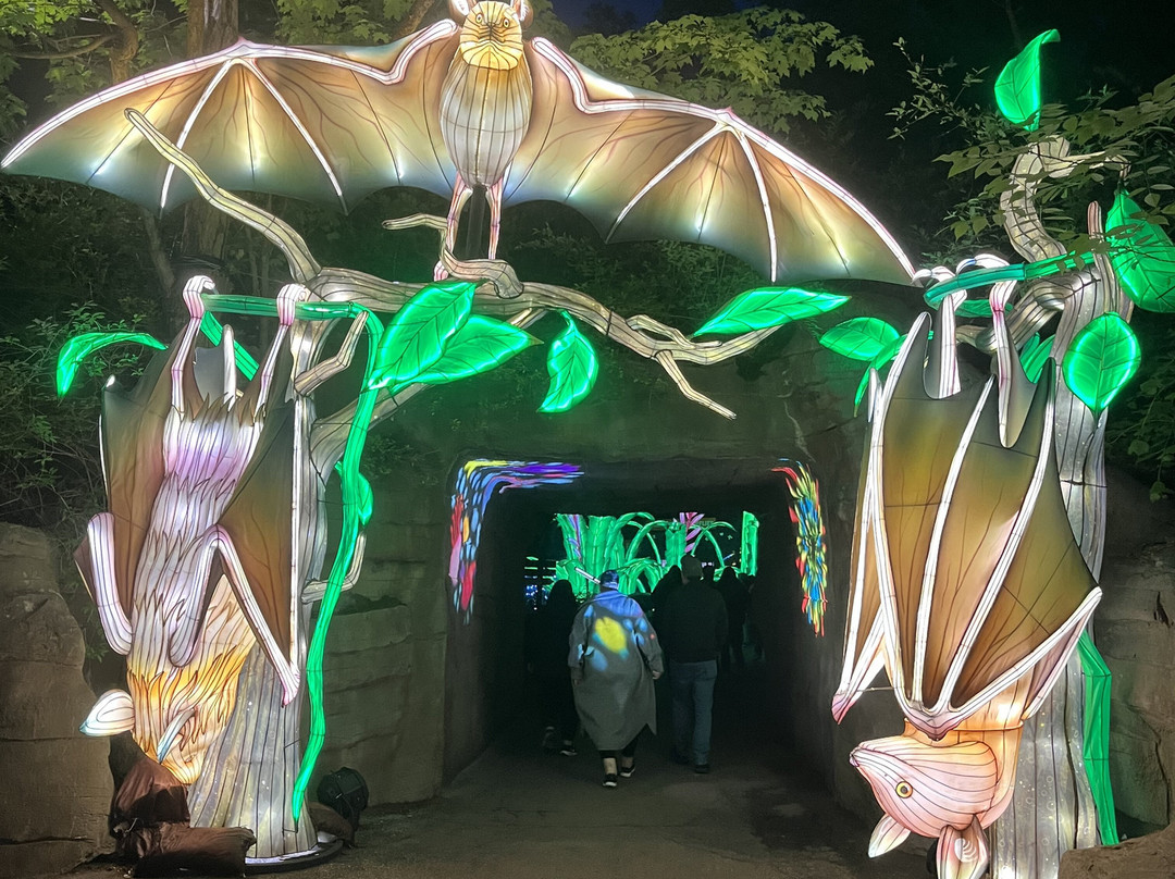 John Ball Zoo-大急流市必去景点