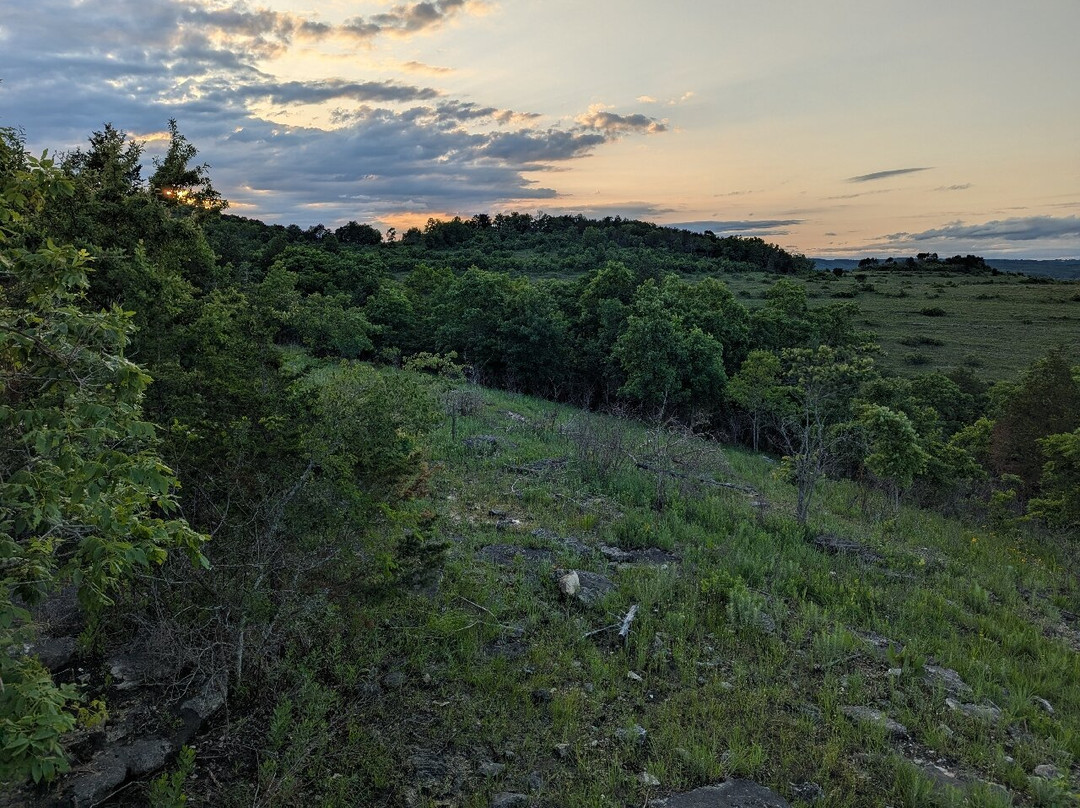 Ruth and Paul Henning Conservation Area-布兰森必去景点
