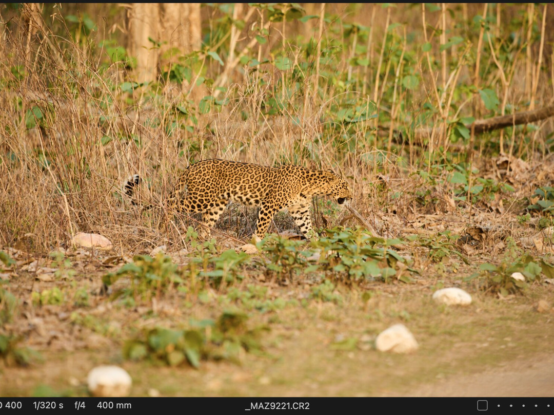Wild Voyager-纽约市必去景点