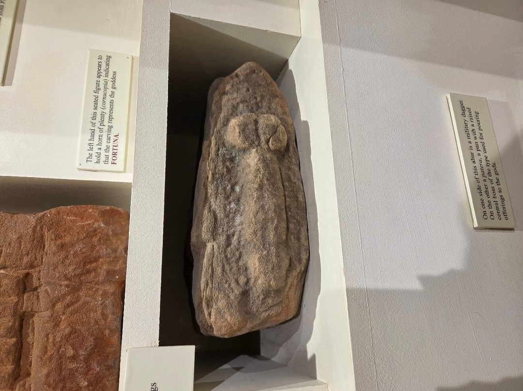 Senhouse Roman Museum景点图片