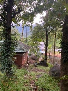 Tree Top Resort主图