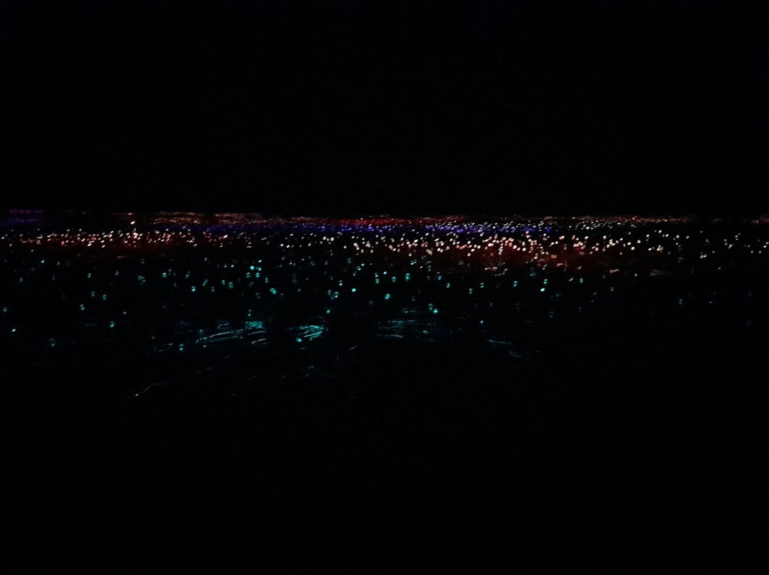 Field of Light-乌鲁鲁-卡塔丘塔国家公园必去景点