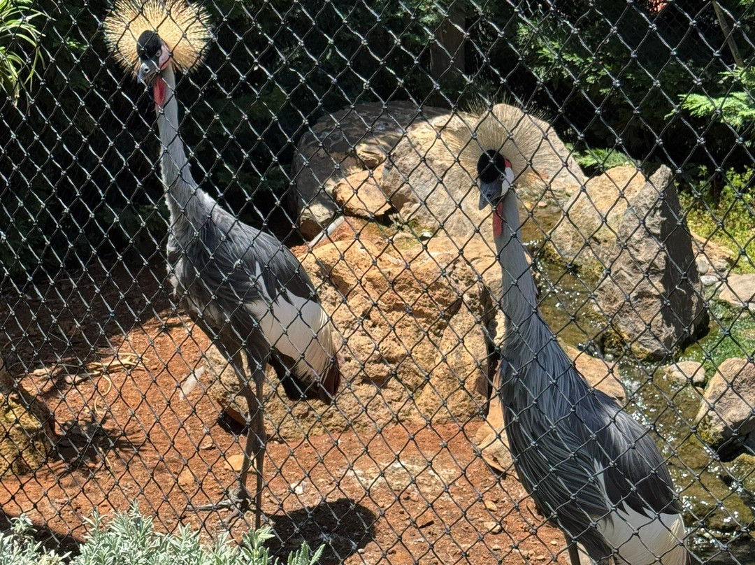 Ilha das Aves-Campanario必去景点