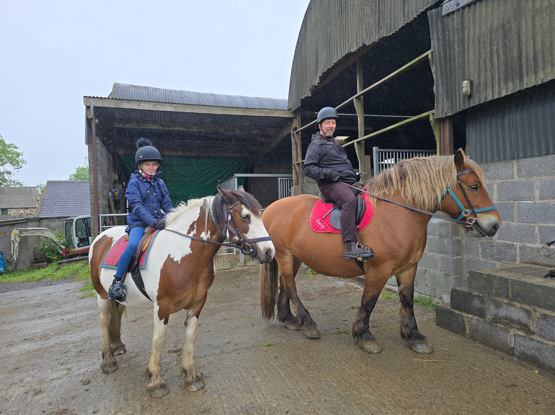 Preseli Pony Trekking-Mynachlogddu必去景点