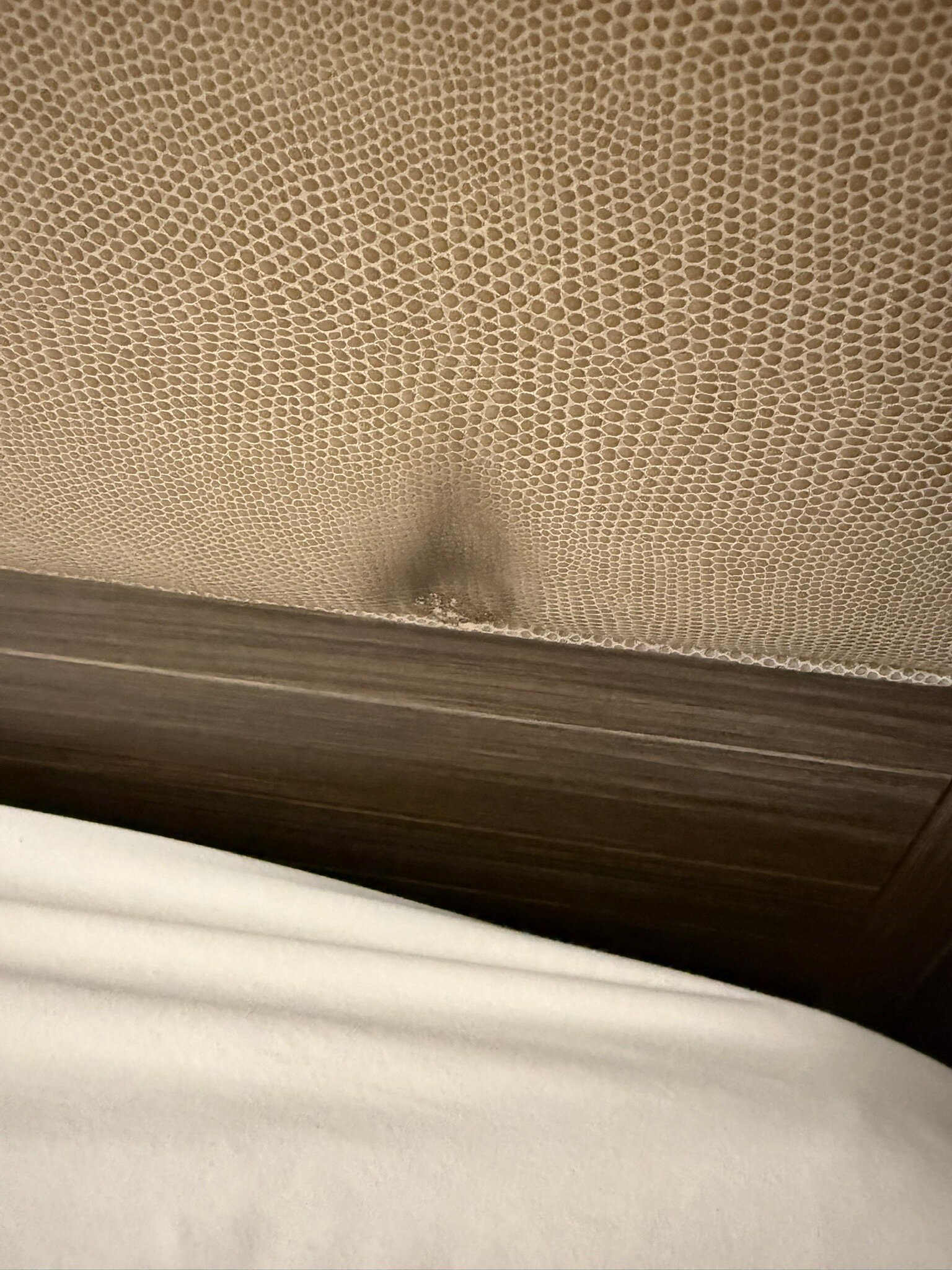 Hampton Inn Salt Lake City/Layton-官方