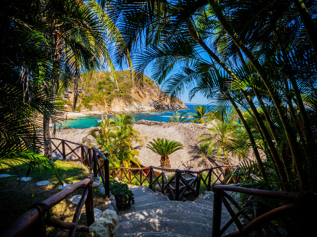 Casa Bichu Hotel Boutique主图