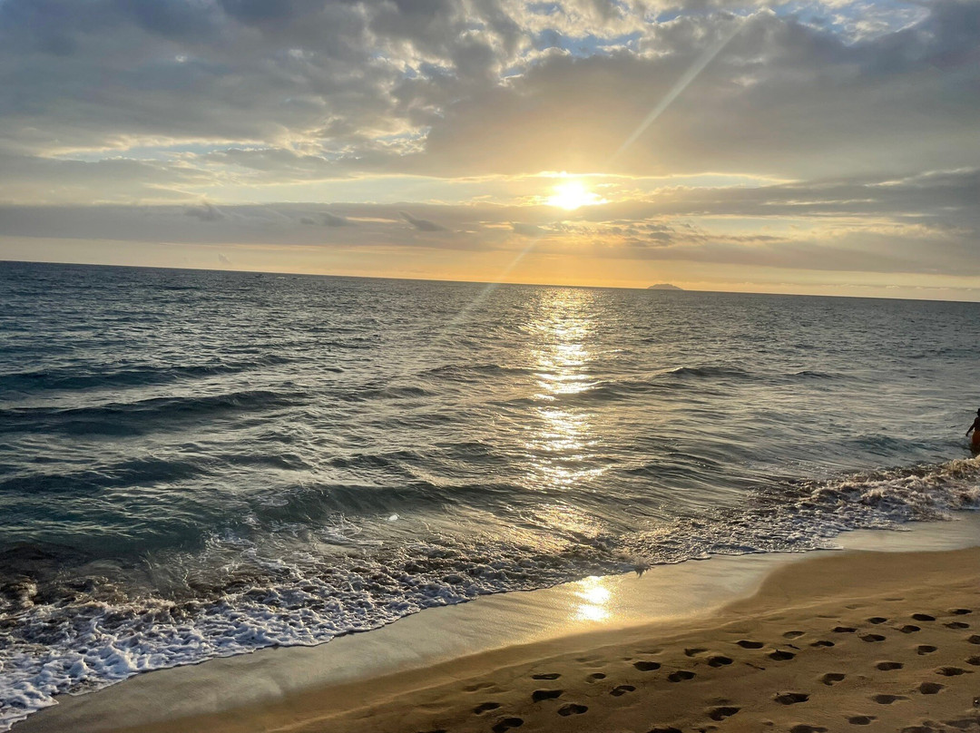 Coconut Palms Inn主图