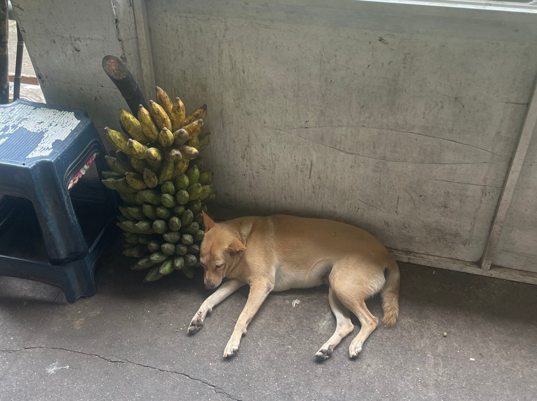 Rukshan Sri Lanka Tours & Travels-康提必去景点