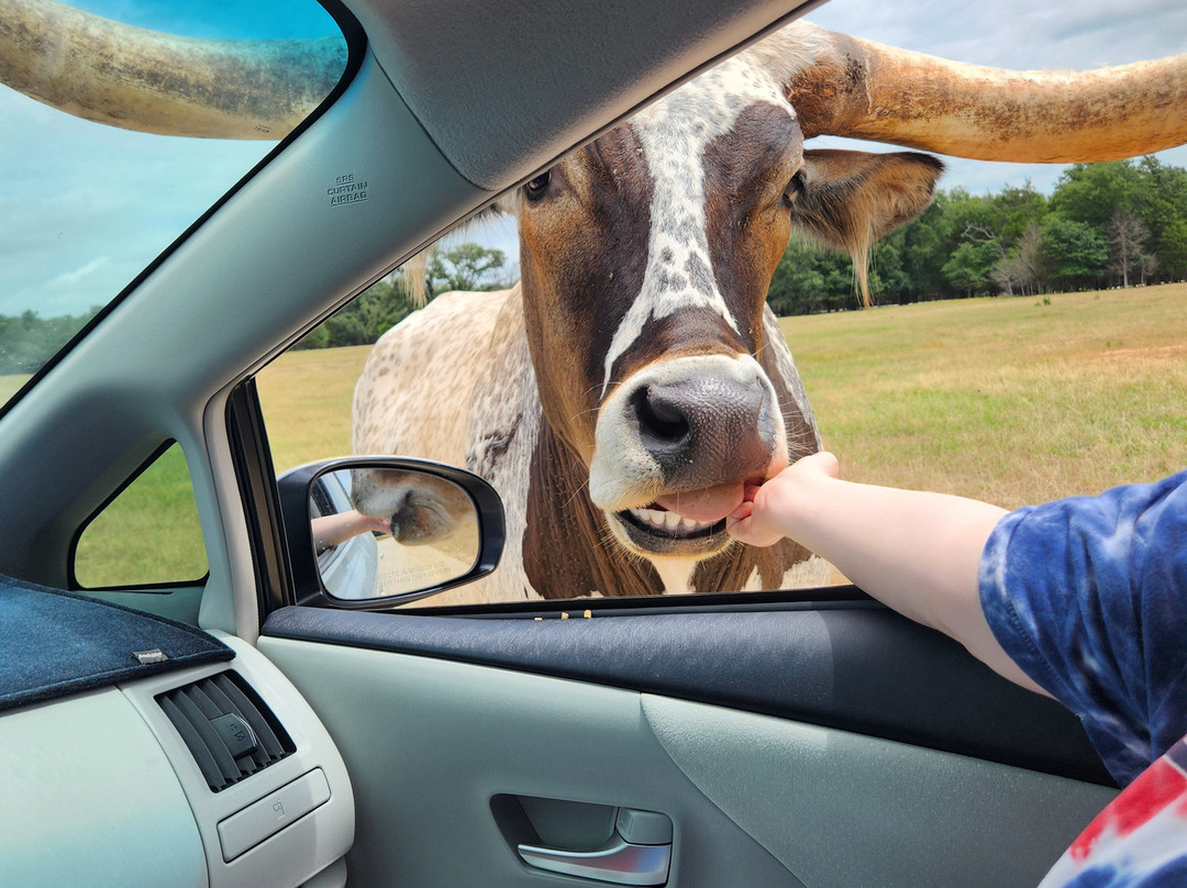 Texas Zoofari Park-Kaufman必去景点
