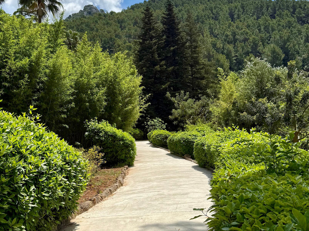 Jardins d'Alfabia景点图片