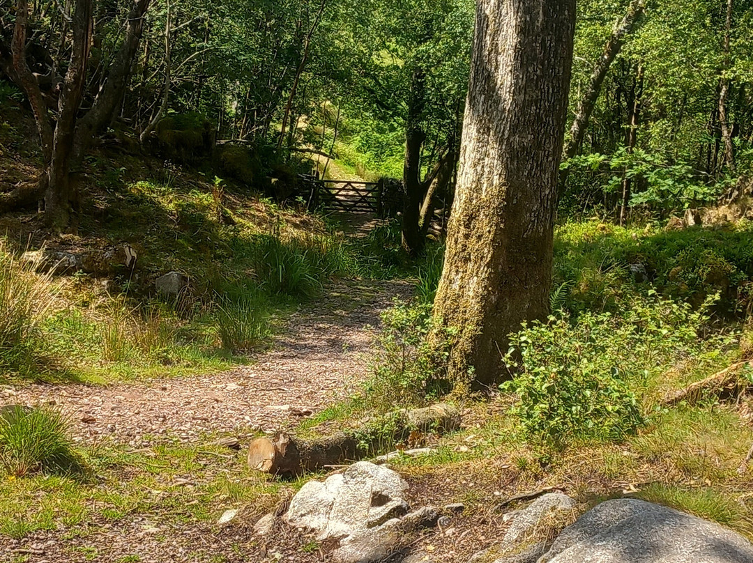 Ravenglass And Eskdale Railway景点图片