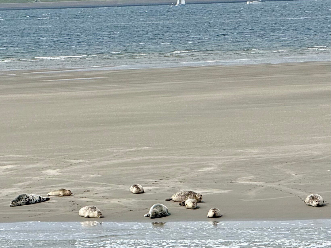 Het Wad op -TX10 & TX20-Oudeschild必去景点