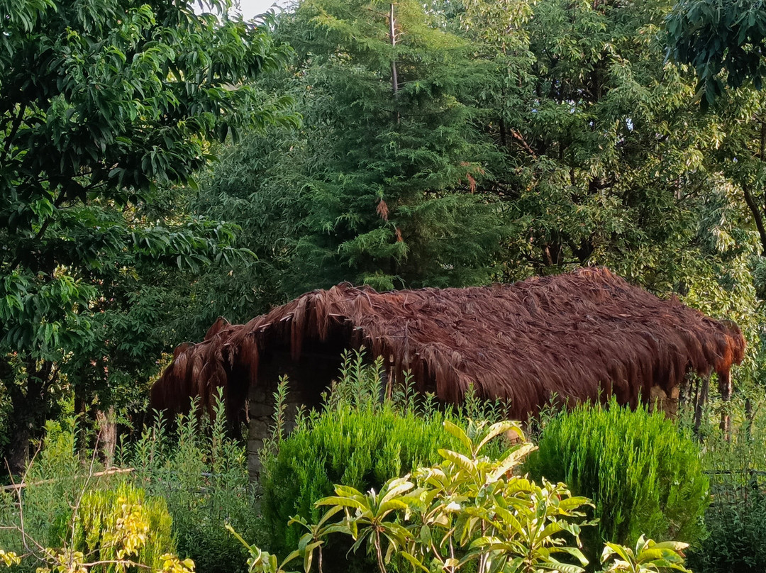 Misty Mountains Jhaltola主图